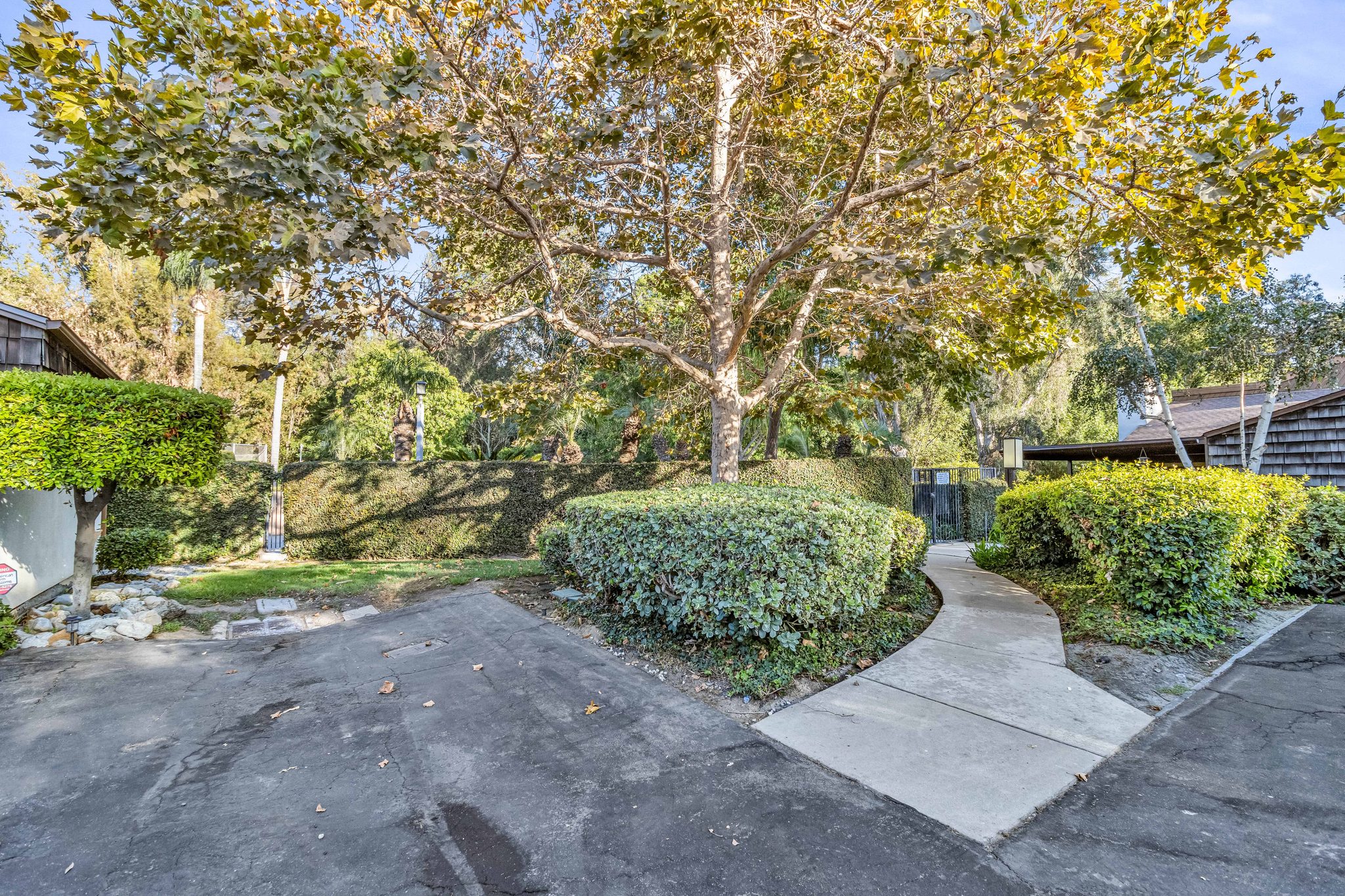 9411 Friendly Woods Ln – photo 5